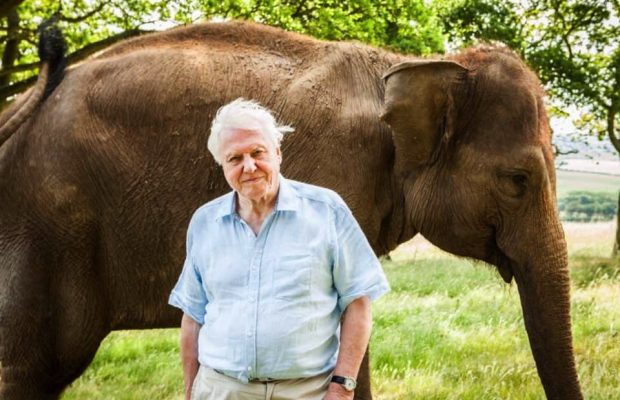 BBC Announce New Wildlife Series With David Attenborough