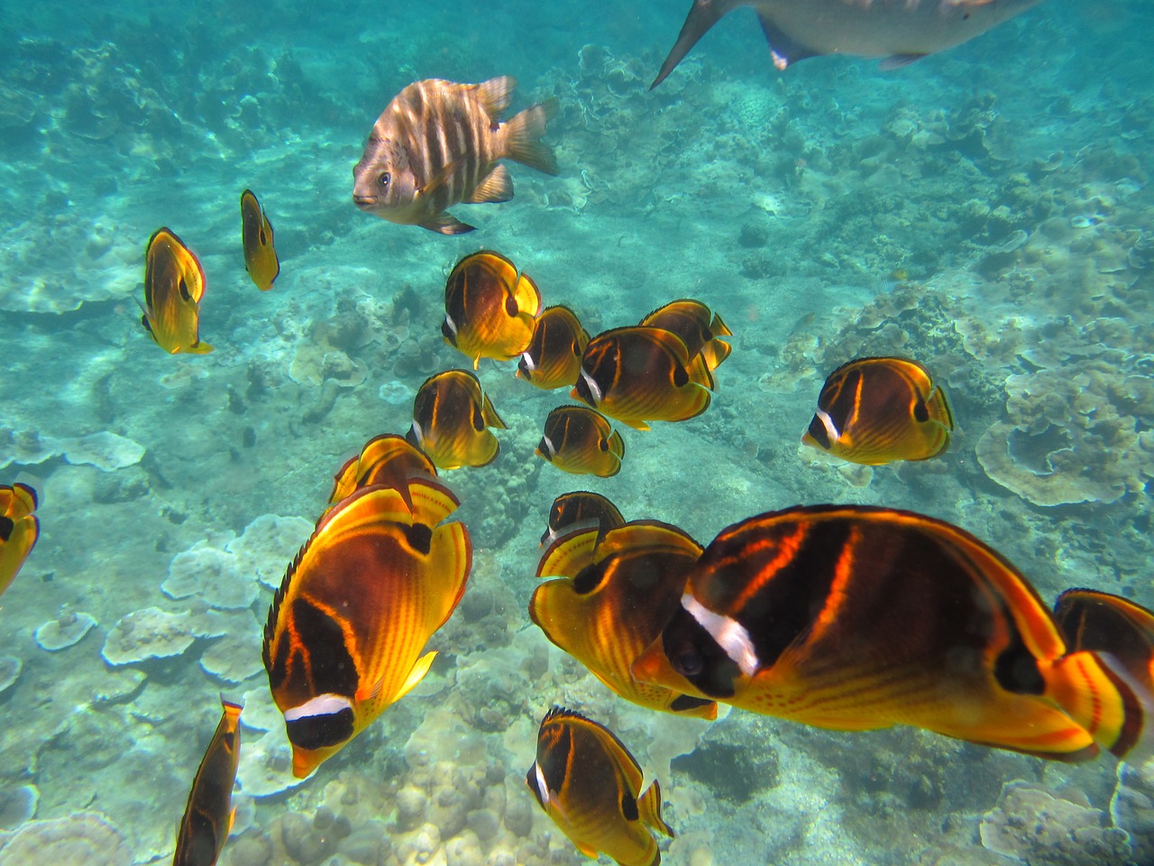 A New Underwater Hotel Is Opening In the Great Barrier Reef