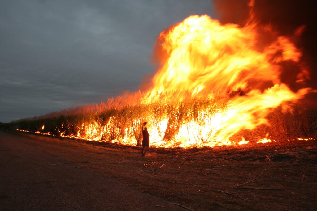 Australia's 20192020 Wildfires Cooled the Globe Like