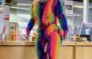 redbridge library monkey costume