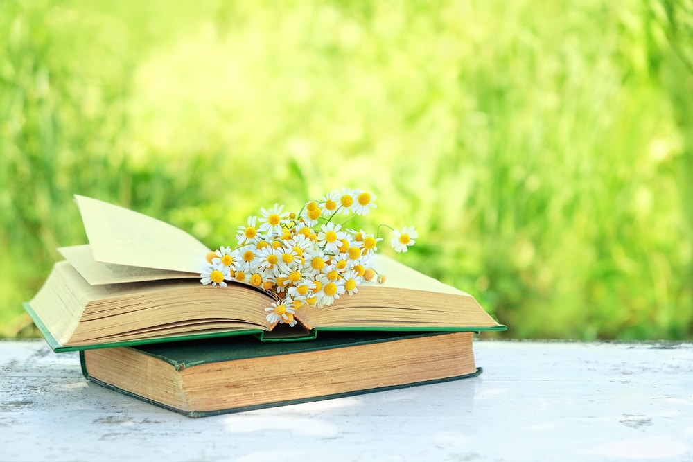 image of two books, one on top of the other, the one on top is lying open with small white and yellow flowers on top. the books are on a white painted wooden table, and the background is a blurred green leafy scene