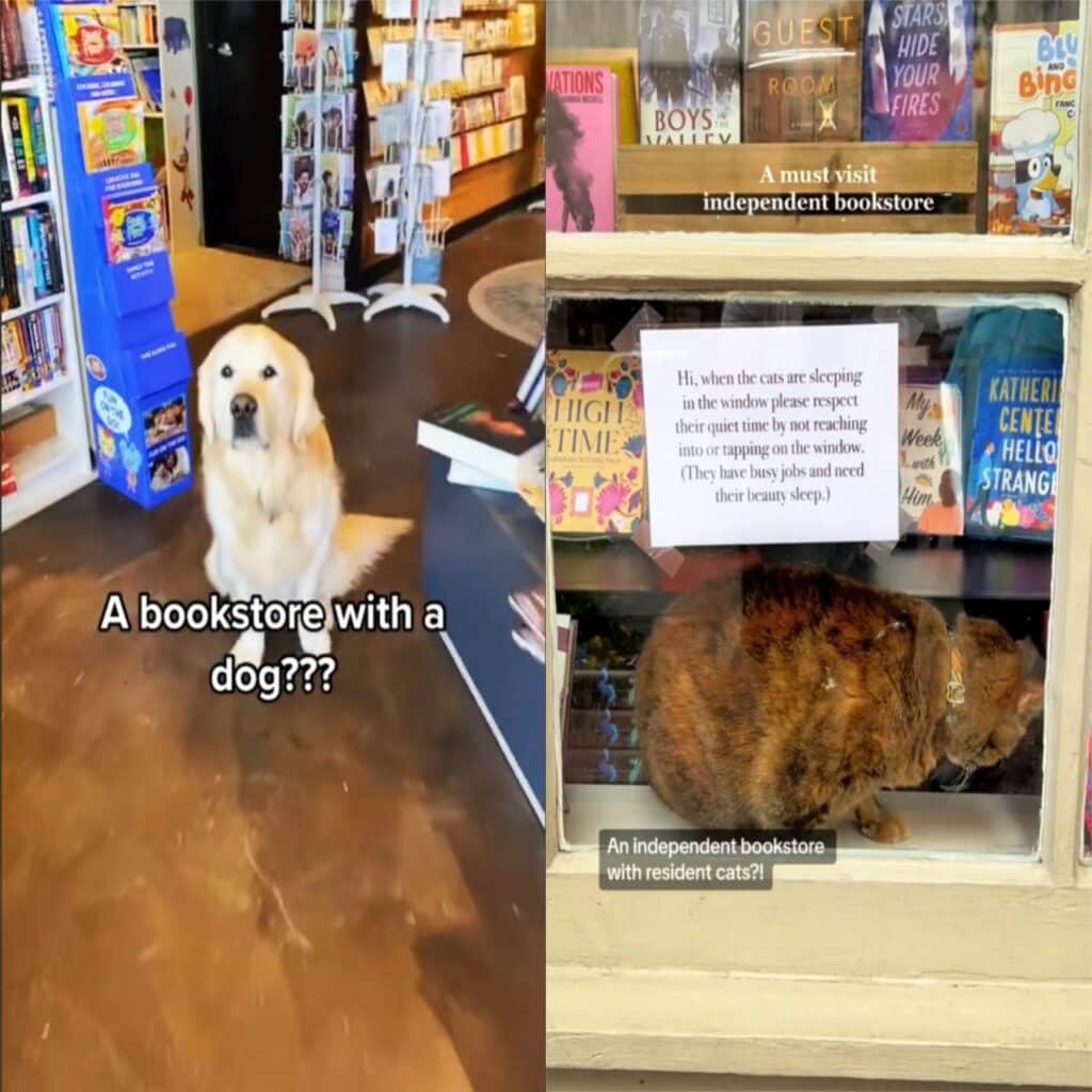 Two side by side Tiktok screenshots of independent bookstores with a cat and dog respectively. 