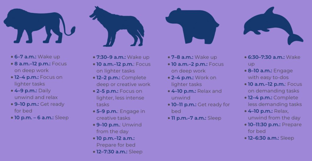 The four chronotypes (lion, wolf, bear, and dolphin) in respective order, along with recommended daily sleep/wake schedules for each. Navy blue animals and text on light purple background. 