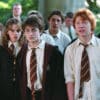 Harry, Ron Hermione and friends stare at something in front of them whilst in the woods.