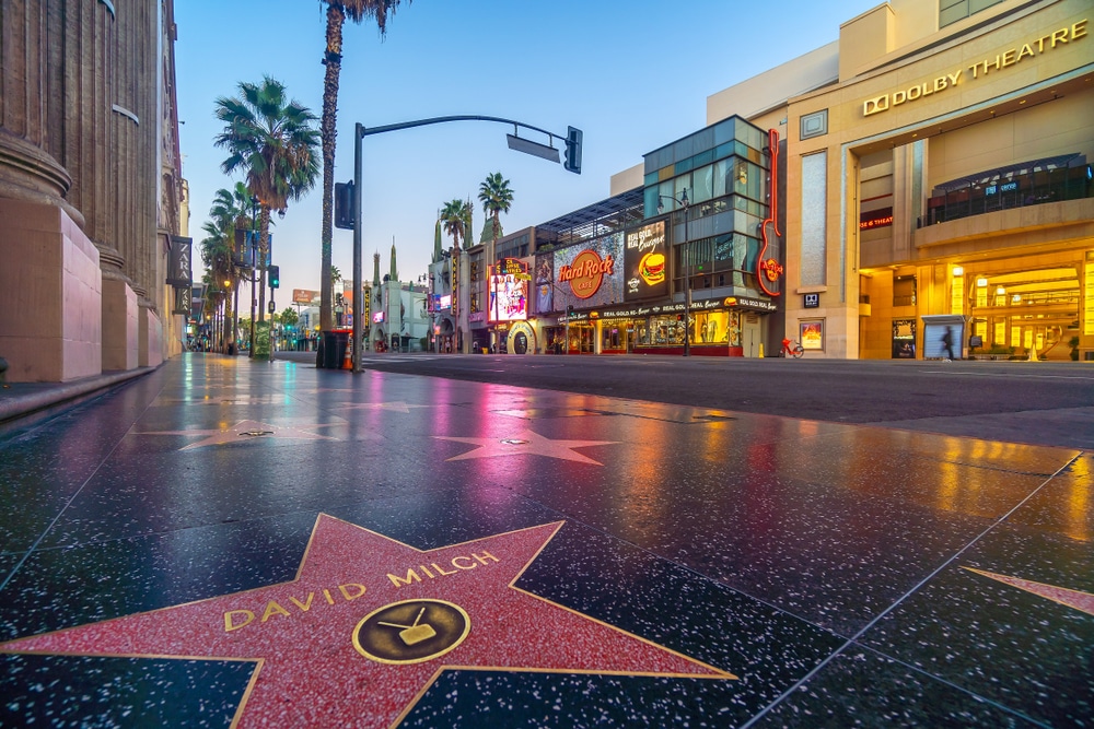 2025 Hollywood Walk Of Fame: Who Will Be Getting Honours? - Trill Mag